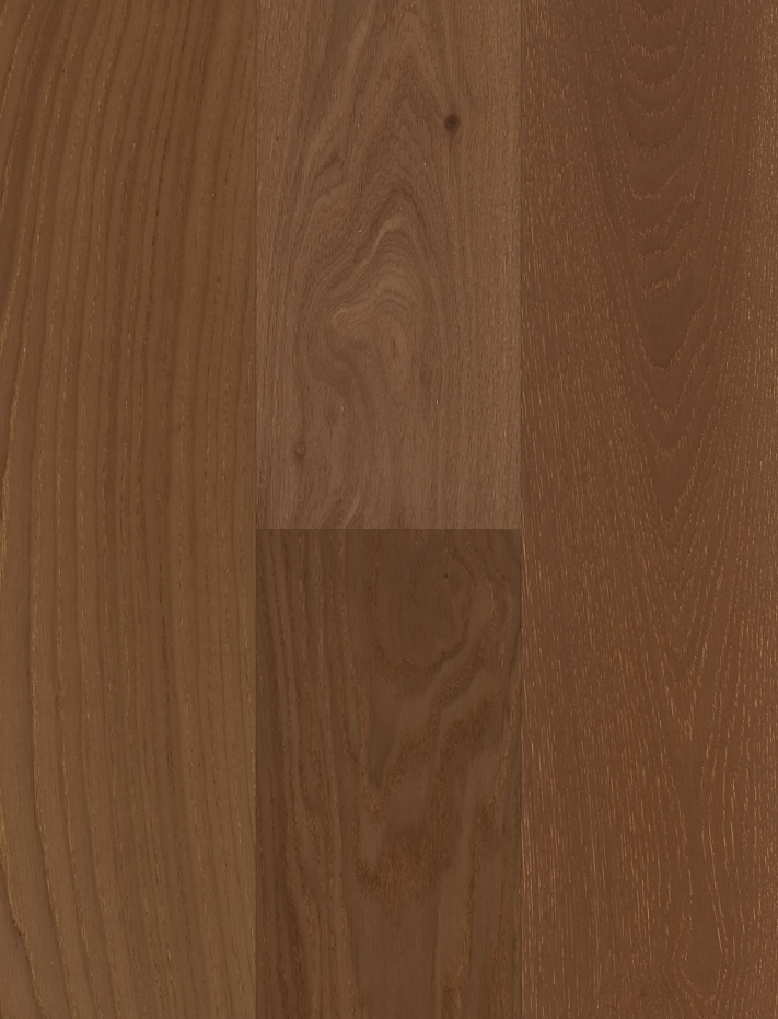 Quercus