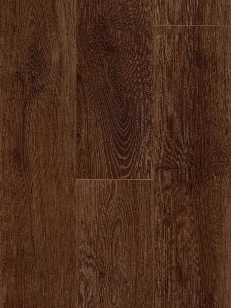 Solid Blackbutt